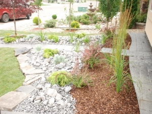 "Rocky Mountain Rustic" & "Small Wood Bark" Ground Cover combination really complimented the front yard at this Mactaggart landscape revitalization project