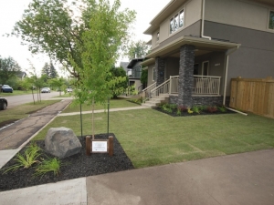 A "Rundle Feature Boulder" was incorporated on the corner of this front yard in order to deter pedestrian and cyclists from cutting across the corner